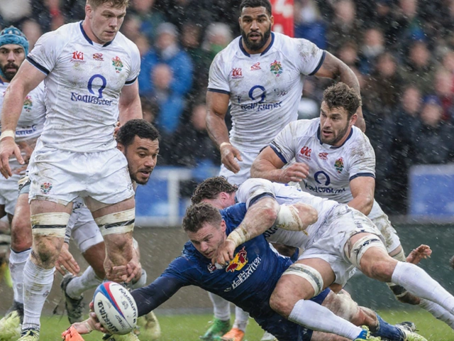 URC 2025-26 South African Teams Preview: Bulls, Lions, Sharks and Stormers Ready for Battle